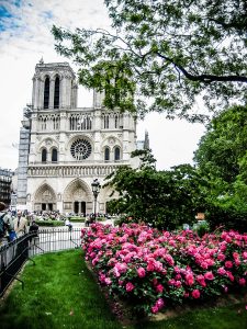 Notre Dame and pink flowers